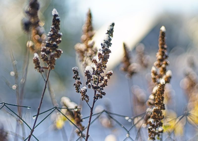 *** фото превью