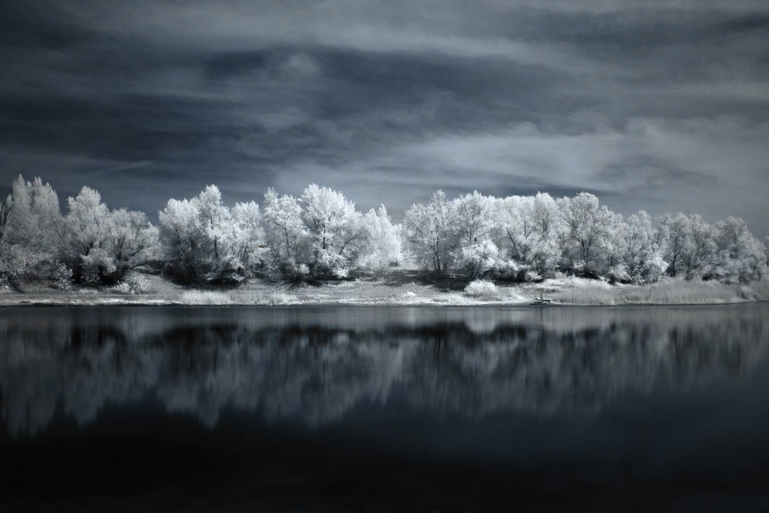 Инфракрасный пейзаж. Автор: Павел Сторчилов инфракрасный, , Павел Сторчилов