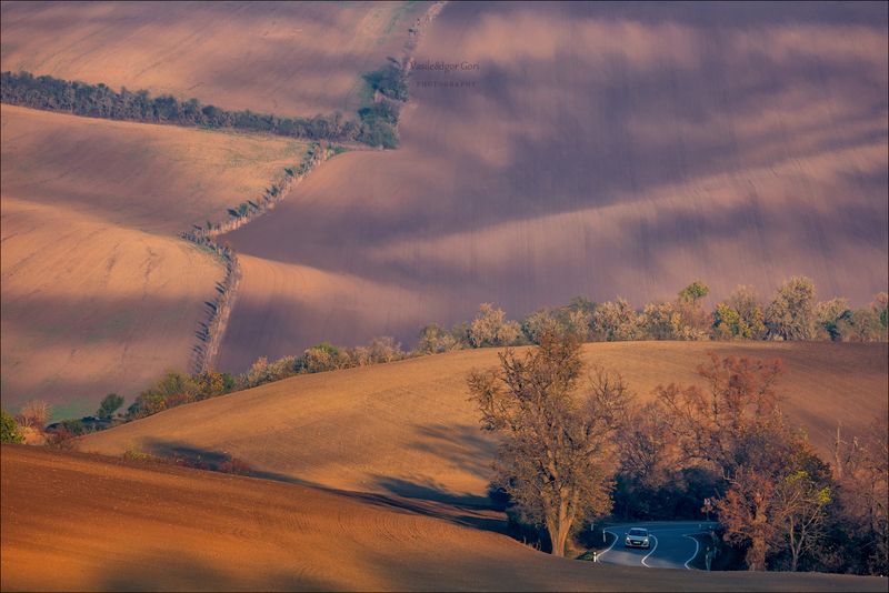 южная моравия,пейзаж,линии,south moravian,lines,свет,czech,осень,чехия,landscapes, Пятнистый пейзаж фото превью