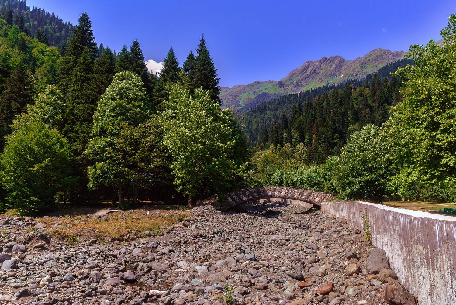 Кусочек Абхазии. Автор: Владимир Гамаюнов , Владимир Гамаюнов