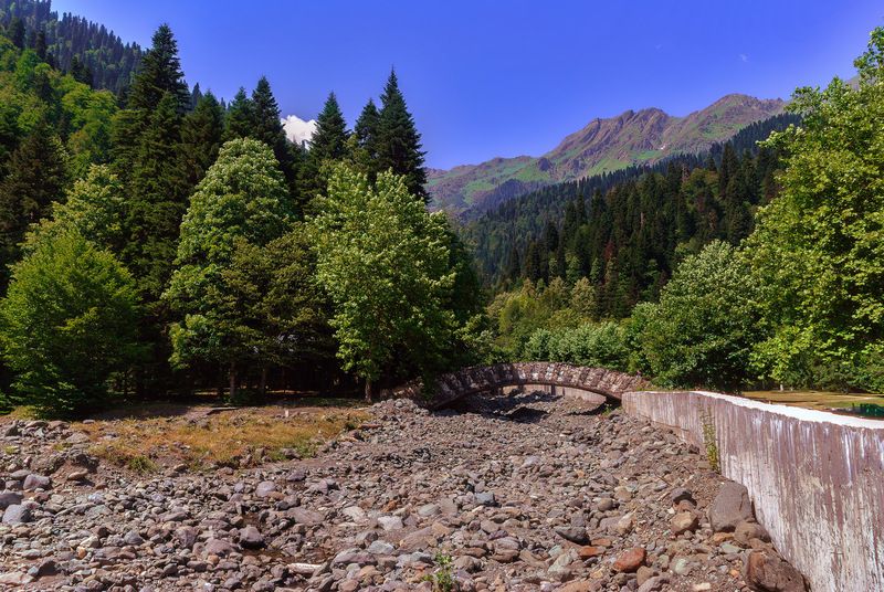 Кусочек Абхазииphoto preview