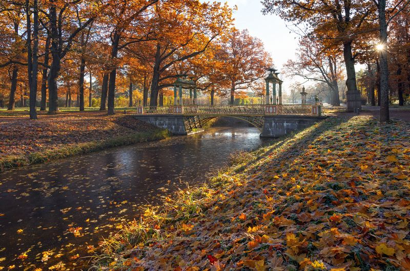 питер, пушкин, царское село, царское,  landscape, tsarskoye selo, autumn, туман, городской пейзаж, санкт-петербург, закат, александровский парк Воспоминания о Царскосельской осени...photo preview
