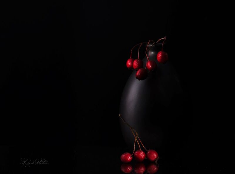 Hawthorn фото превью