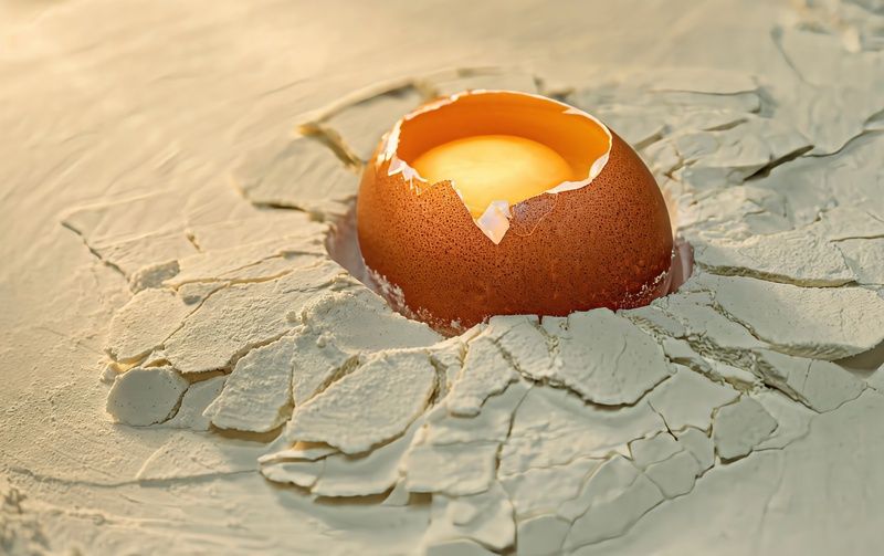 еда, , яйцо ЧЕКСУЛУБСКИЙ МЕТЕОРИТphoto preview