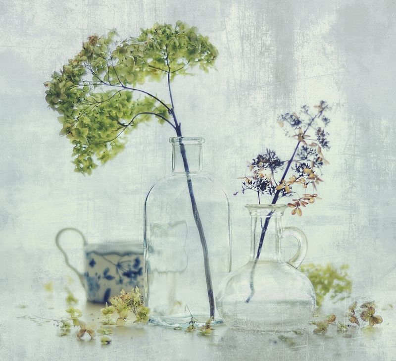 натюрморт,гортензия,цветы,осень,стекло ... фото превью