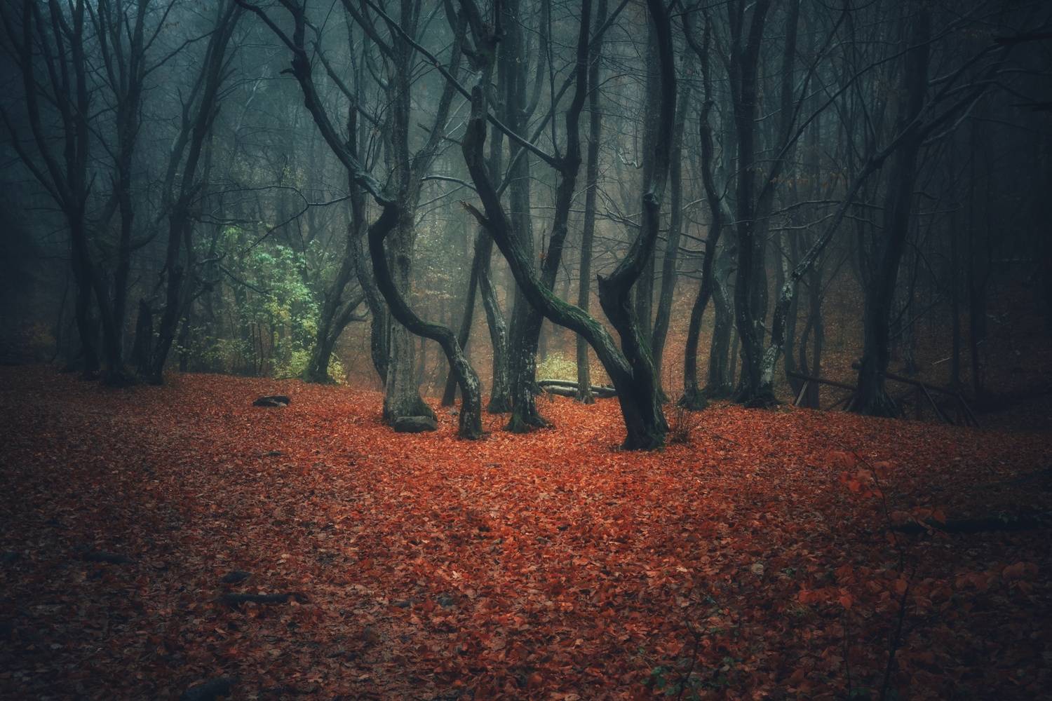 , Юлияна Стоянова