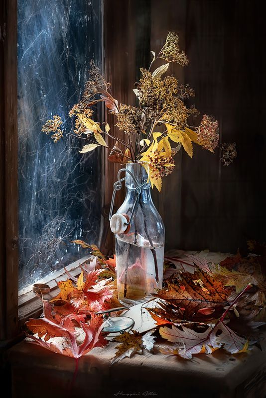 Ma фото превью