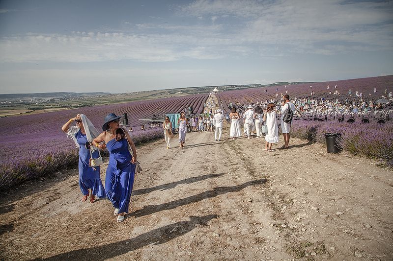 Крым. Лавандаphoto preview