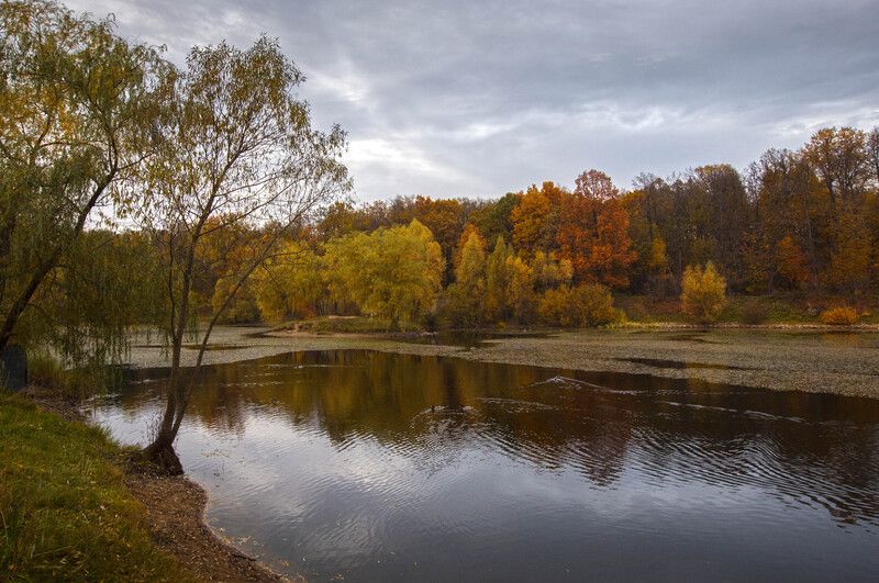 *** фото превью