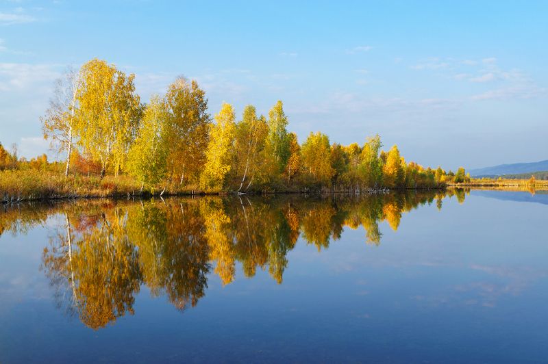 sony nex 5n +zuiko 28/2 *****photo preview