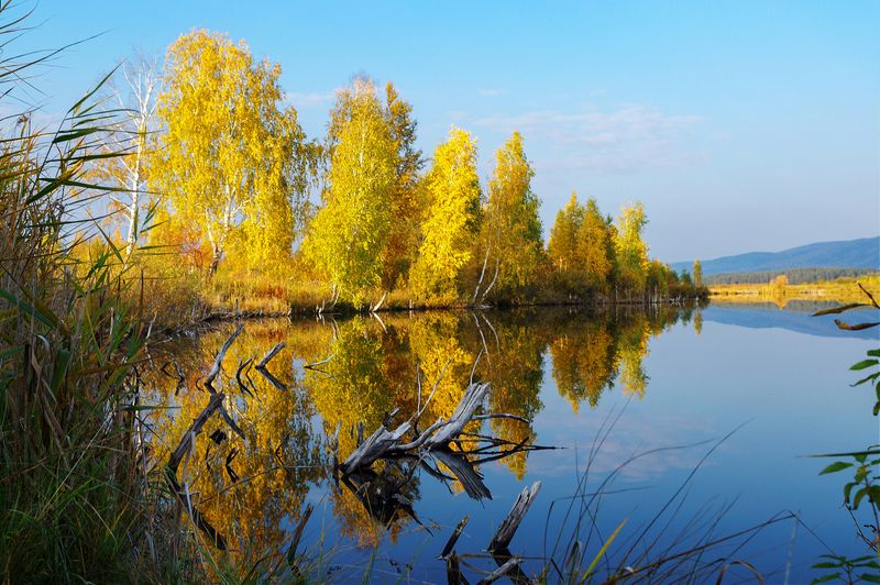 sony nex 5n +zuiko 28/2 *****photo preview