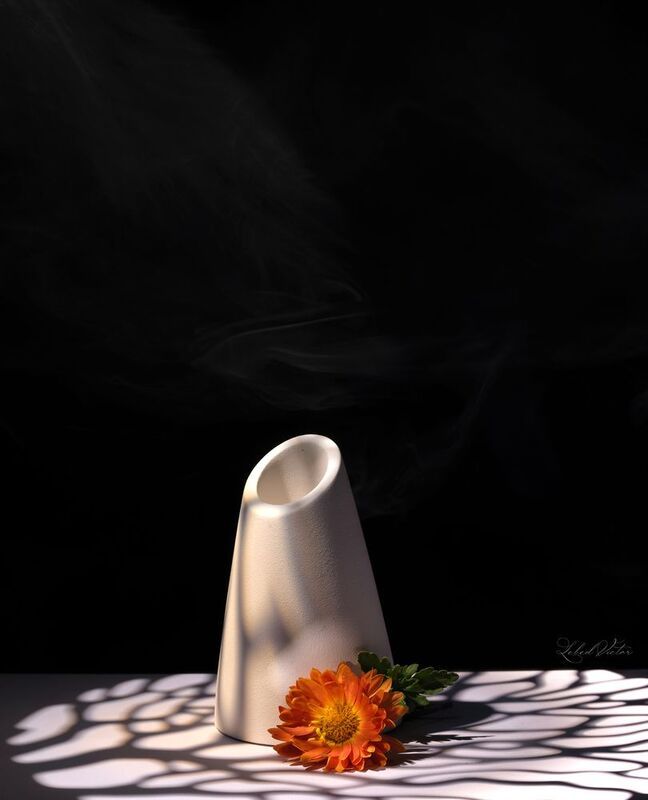 Golden-daisyphoto preview