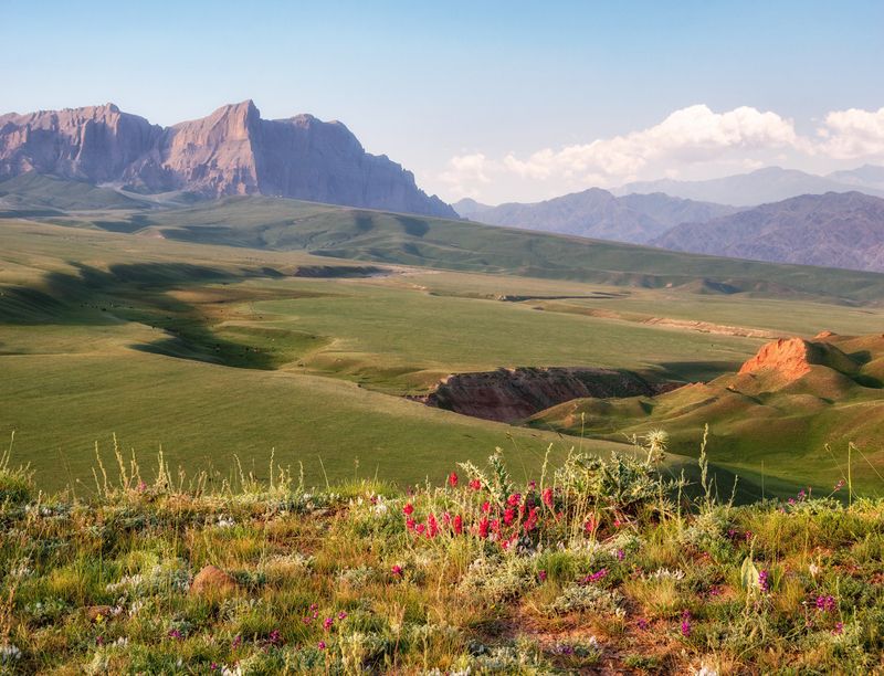 кыргызстан, горы тянь-шань, пейзаж, природа, альпийские луга, пастбища, цветы, кони, путешествие photo preview