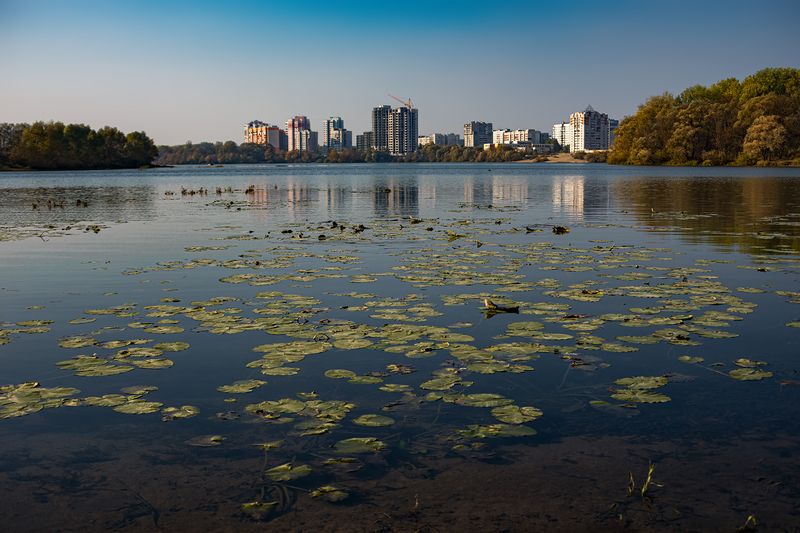 У края водыphoto preview