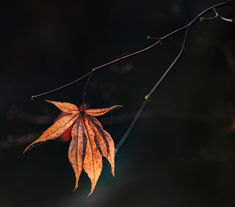 Позолоти ручкуphoto preview