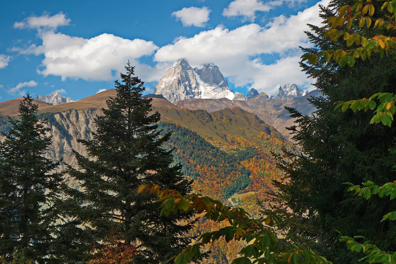 горы, грузия, сванетия, ушба, Виктор Гурков