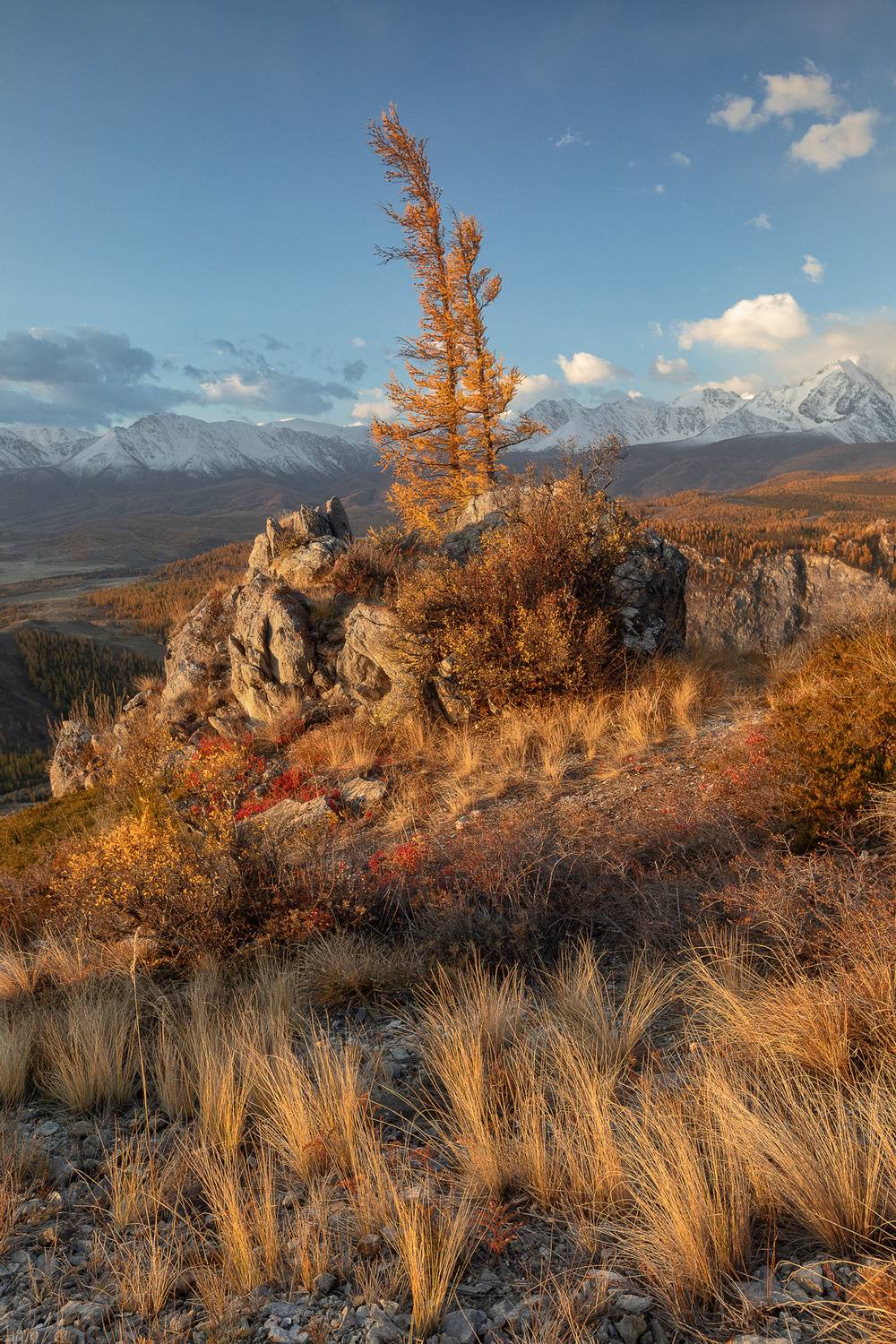 Алтайская классика. Автор: Константин Маланин , Константин Маланин