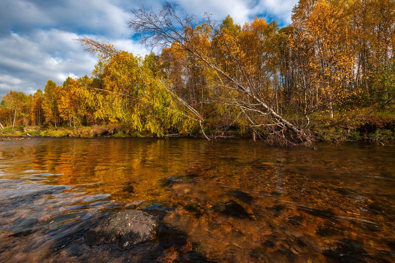 север, кольский, заполярье, Прозрачная осень фото превью