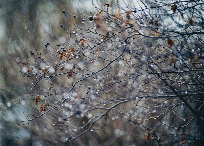 И снег и дождь... фото превью