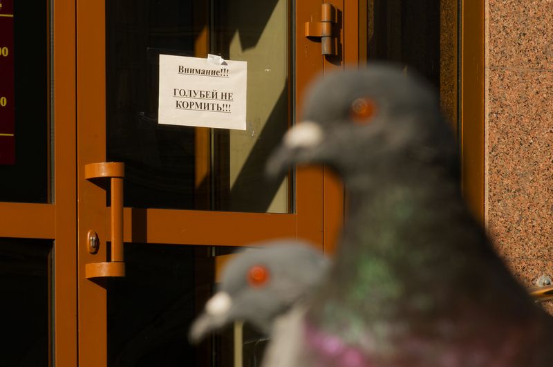 За что?! фото превью