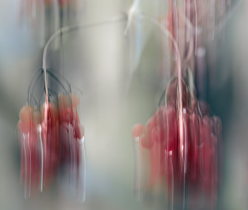 icm Контрольное взвешиваниеphoto preview