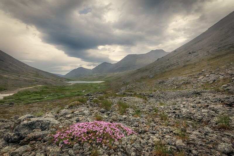 Чаша перевала Кукисвумчорр. Хибиныphoto preview
