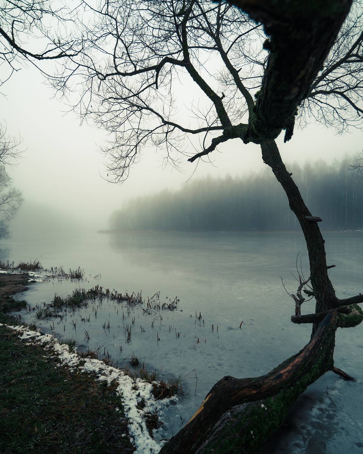 Туманный день на берегу замёрзшей реки (6). Автор: Колесенко Иван Пейзаж, туман, зима, лед, природа, атмосфера, мистика, Колесенко Иван