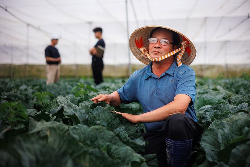 Фермеры Вьетнамаphoto preview