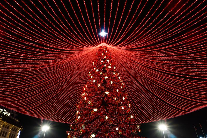 тула, тульская область, елка, новый год Главная ёлка Тулы.photo preview