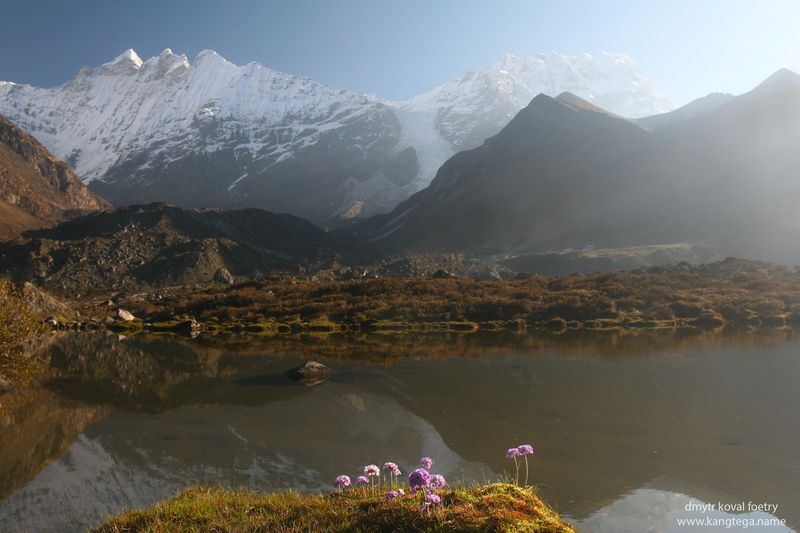 Обитатели Безмятежности … фото превью