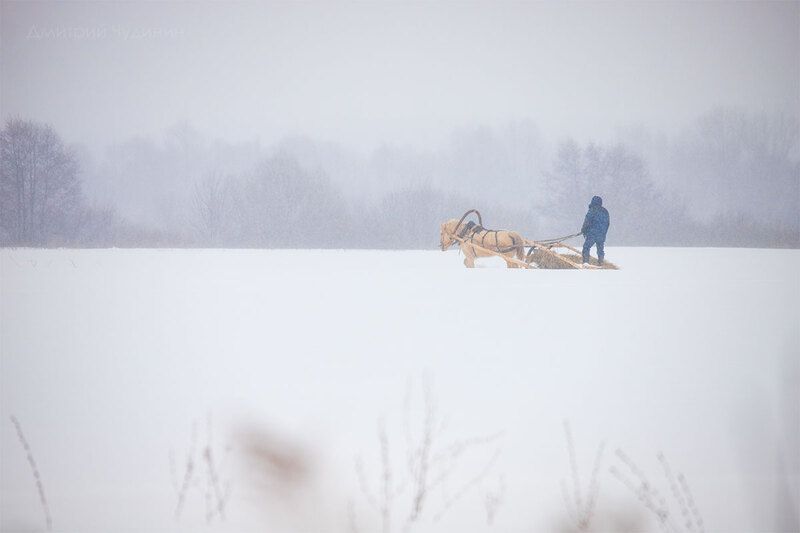 Зимняя сказкаphoto preview