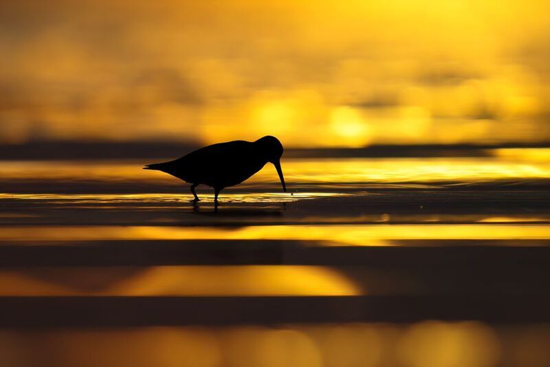 Light streaksphoto preview