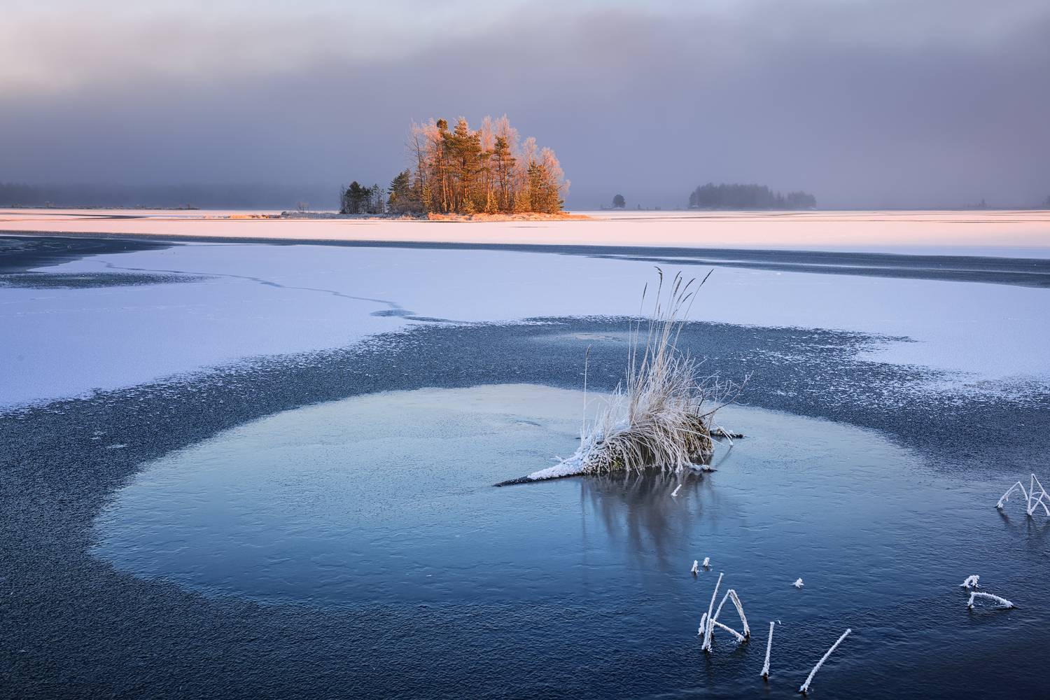 карелия, Евдокимов Максим