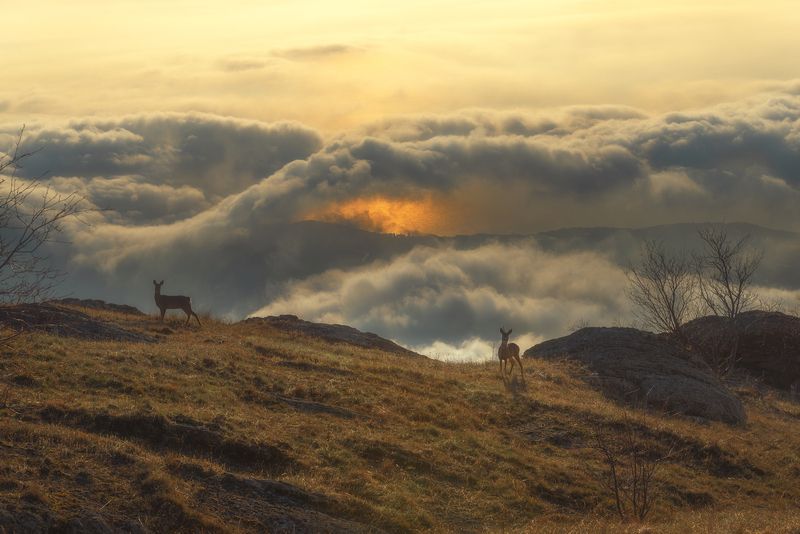 Выше облаковphoto preview