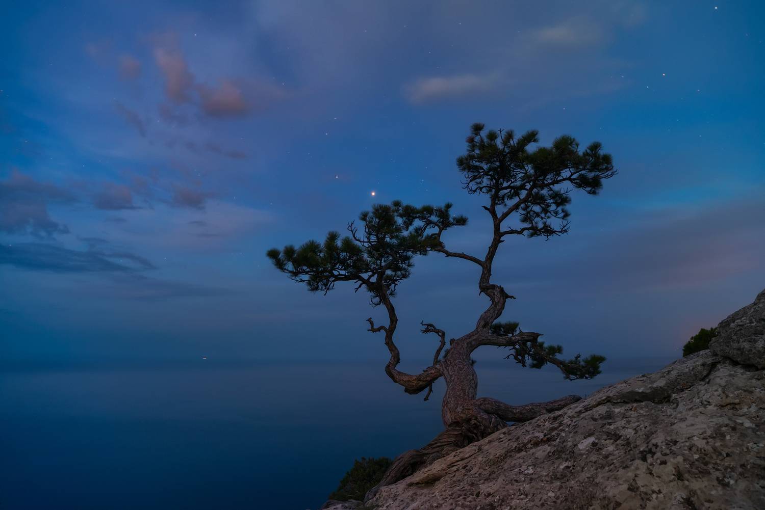 Звёздное утро. Автор: Романский Владимир (NikonZoom) , Романский Владимир (NikonZoom)