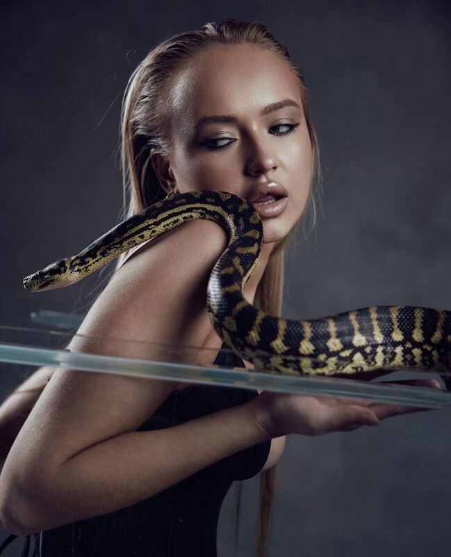 Змеиphoto preview