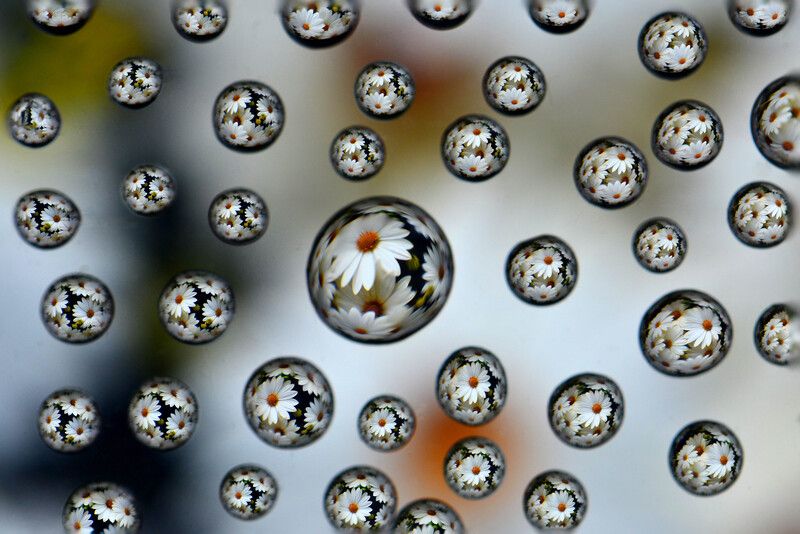 Отражениеphoto preview