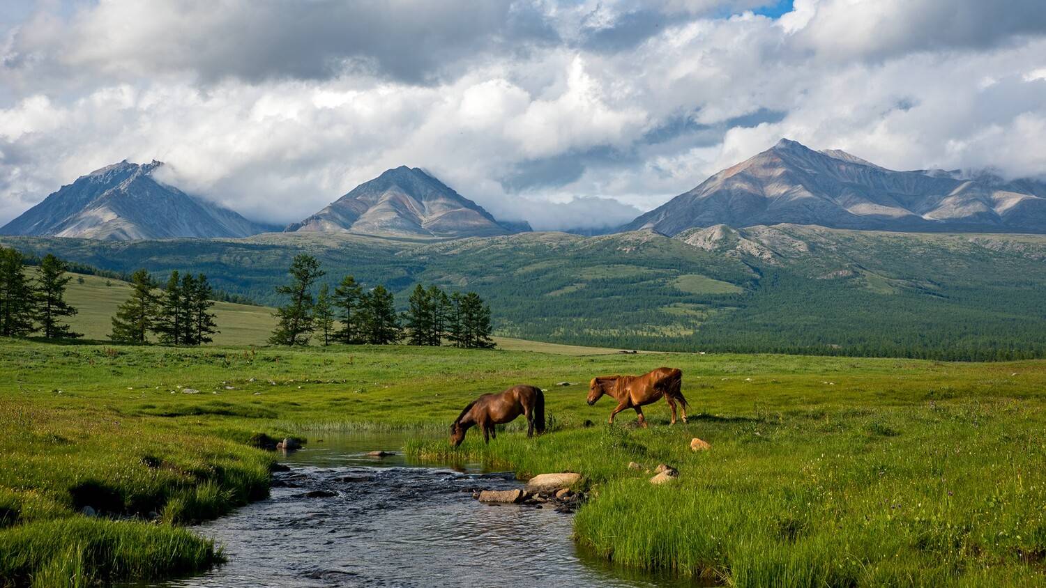 монголия, горы, лето, луг, предгорье,  озеро, лощади, Мальцев Юрий