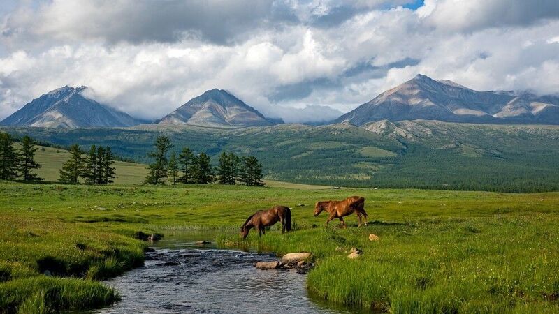 монголия, горы, лето, луг, предгорье,  озеро, лощади Друзьяphoto preview