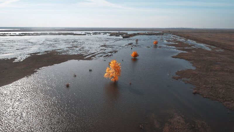большой лиман, осень, цвета осени,  Осеньphoto preview
