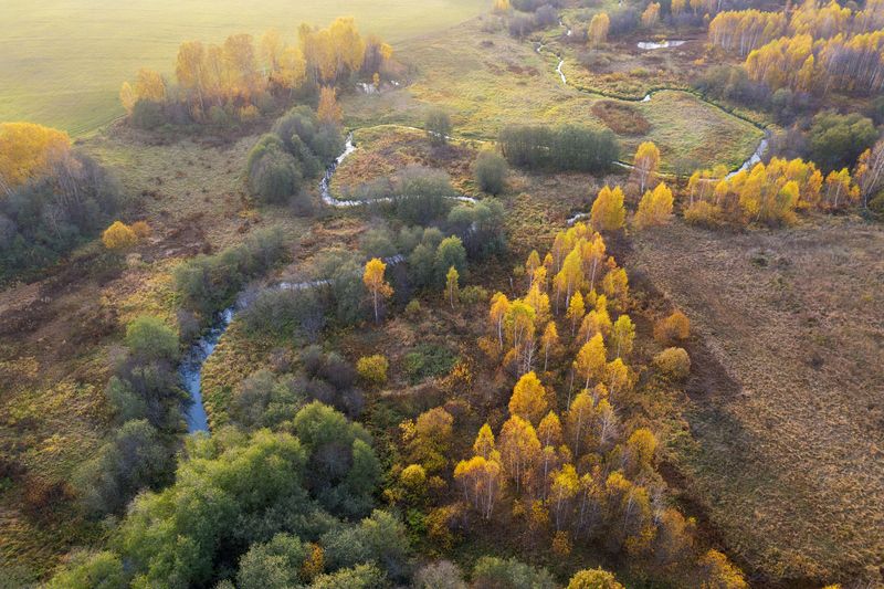 осень, россия, московская область, аэрофотосъемка, пейзаж Подмосковная осеньphoto preview