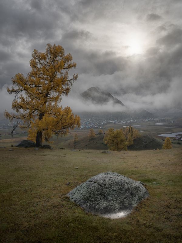 Просвет фото превью