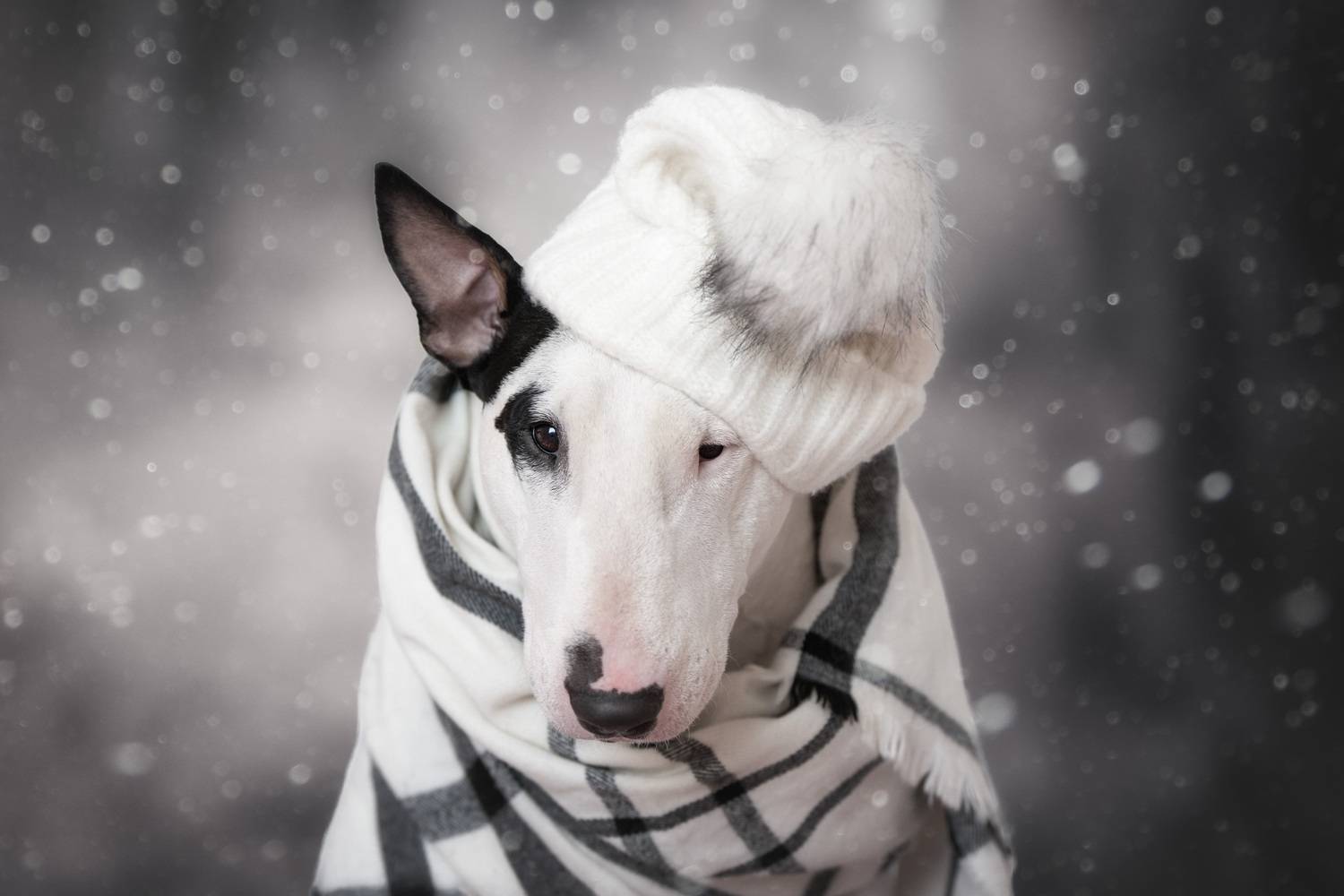 , Андрианова Ирина