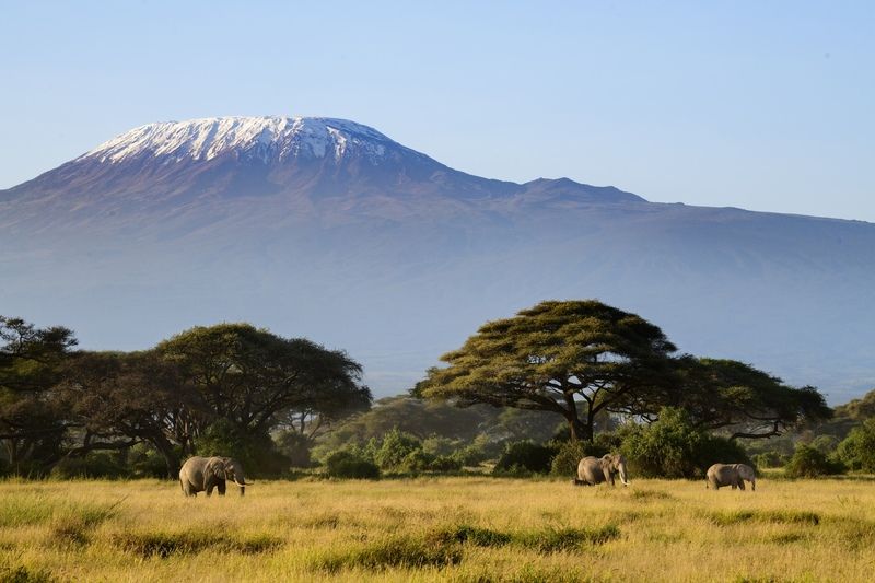 Снега Килиманджароphoto preview