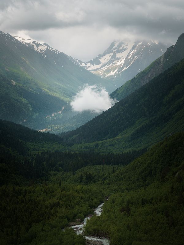 Алибекское ущельеphoto preview