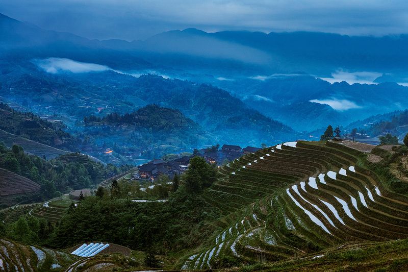 Рисовые террасы веснойphoto preview