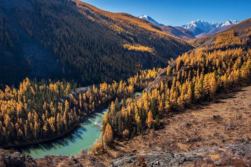 р. Чуяphoto preview