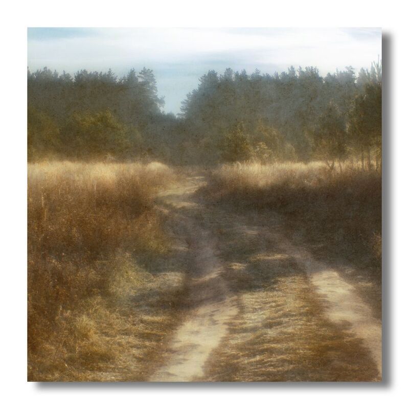 пикториализм, монокль, арт-фотография, художественная фотография, пикториальный пейзаж, пикториальная фотография, современный пикториализм Дорога в лесphoto preview