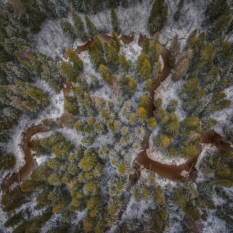 Лесная змейка. Река Мелшаphoto preview