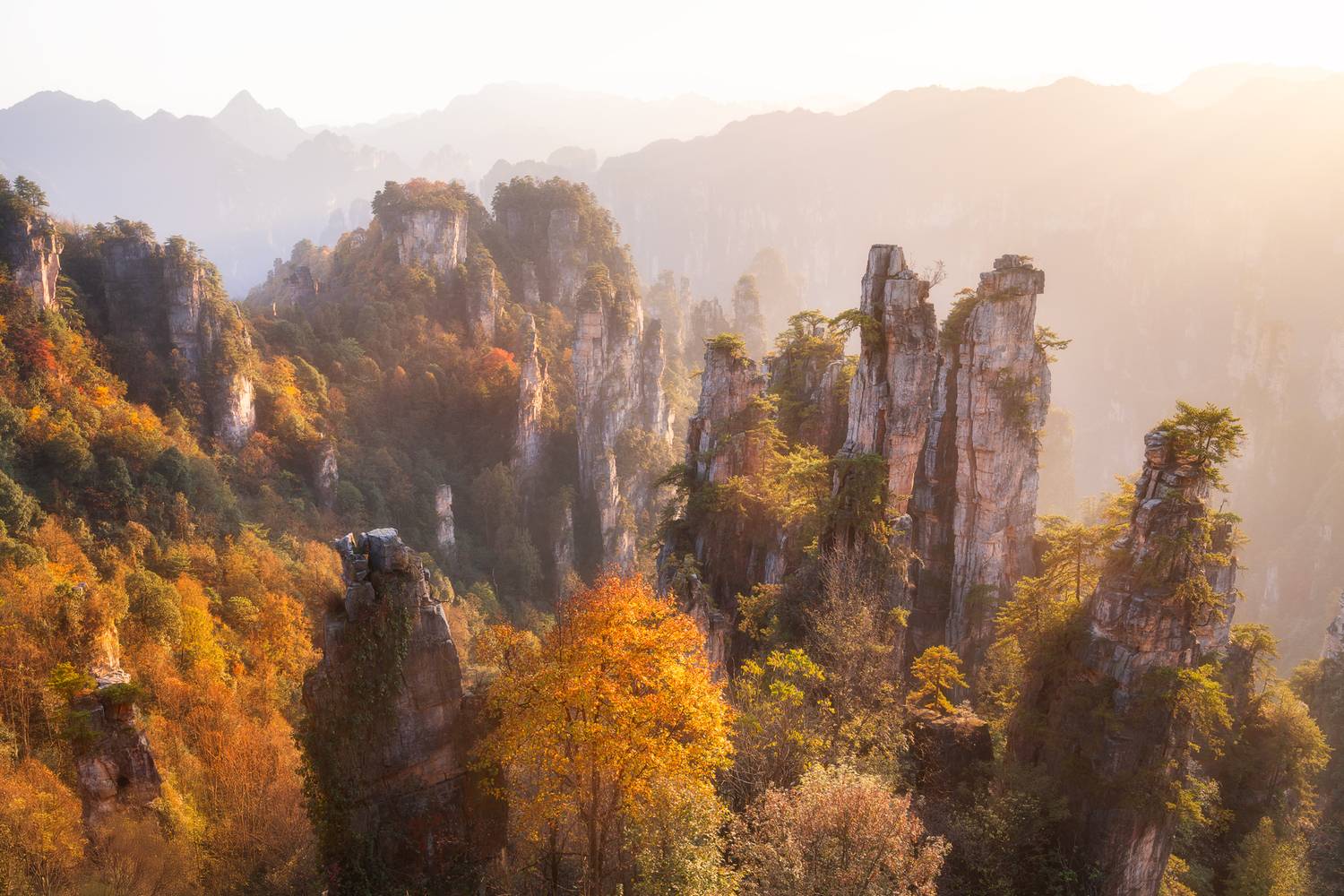 , Антон Агарков